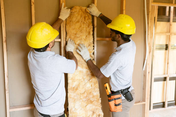 Types of Insulation We Offer in Hayward, CA